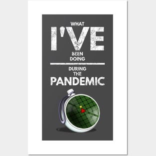 Pandemic Wishes Posters and Art